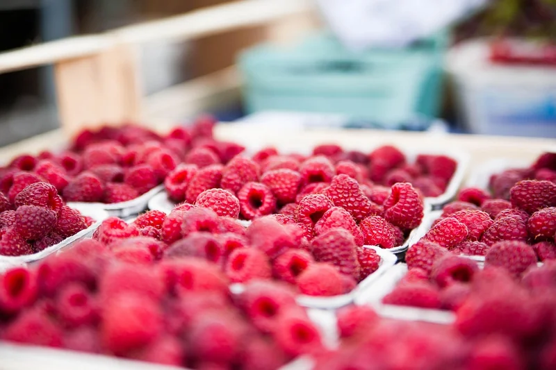L’étude de marché à l’étranger : ne faites pas l’impasse